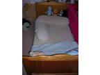 Mamas and Papas Rita cot bed birth-5 years