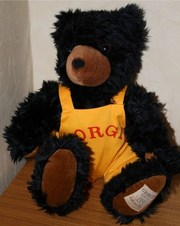 Giorgio Bear                      